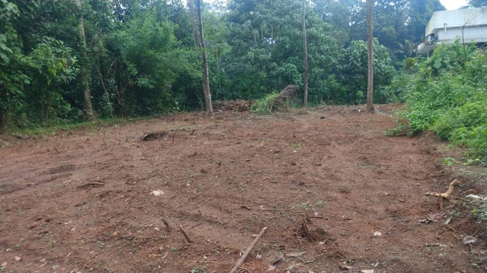 Land for sale Ernakulam Properties