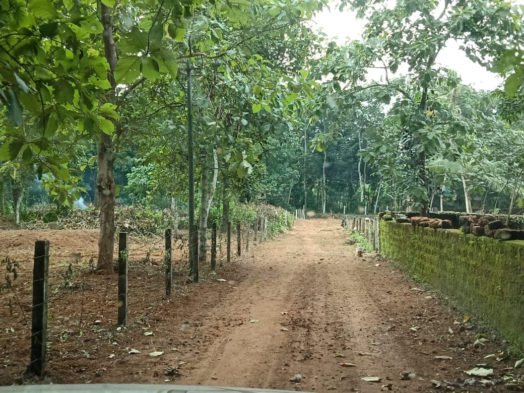 Land for sale Ernakulam Properties